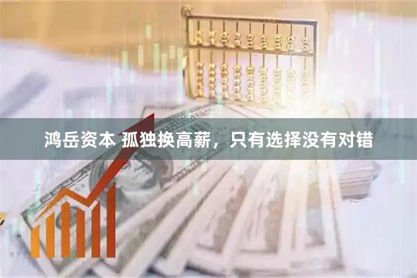 鸿岳资本 孤独换高薪，只有选择没有对错
